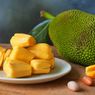 Cara Pilih dan Simpan Buah Nangka, Bisa Tahan Sampai 1 Bulan