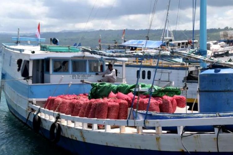Syahbandar Kota Baubau, Sulawesi Tenggara, mengeluarkan larangan berlayar bagi kapal penumpang dan barang yang hendak menuju ke Kabupaten Wakatobi. Larangan ini akibat cuaca buruk dengan gelombang tinggi di sekitar perairan Kepulauan Wakatobi.