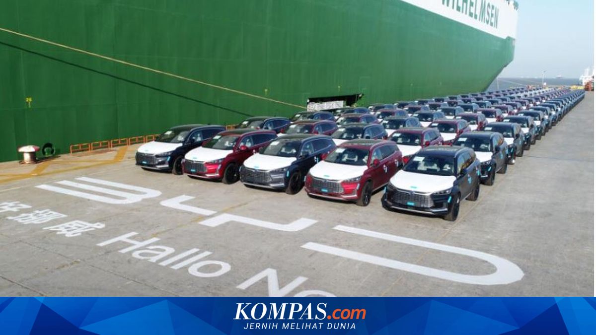 Penjualan BYD terdongkrak ekspor di tengah krisis energi global, meski secara tahunan masih turun.