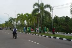 Ribuan Bibit Lada Ditanam di Kawasan Kantor Gubernur Bangka Belitung