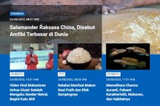 [POPULER SAINS] Salamander Raksasa China | Mahasiswa Unhas Mengaku Gender Netral | Manfaat Makan Nasi Putih | Memelihara Channa Auranti