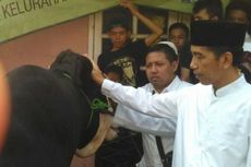 Jokowi Kurbankan 4 Sapi di Manggarai