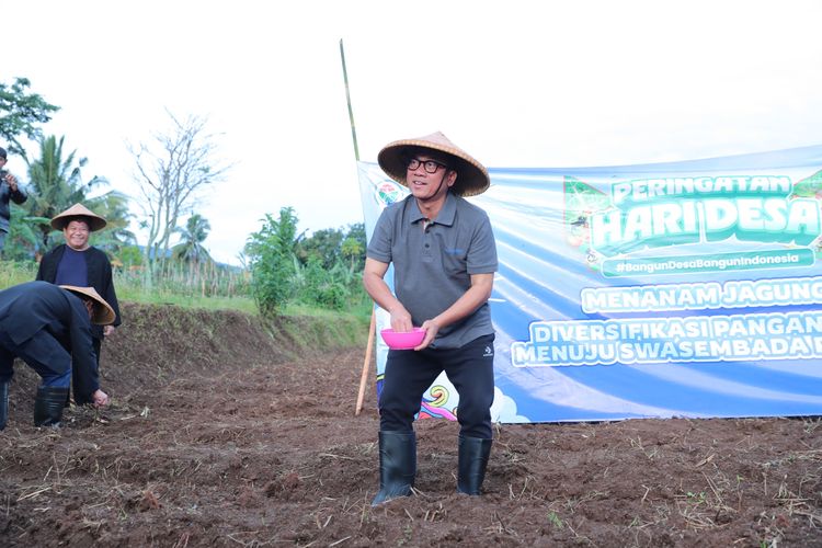 Menteri Desa PDT Yandri Susanto saat melakukan penanaman benih jagung di Desa Cisaat, Kecamatan Ciater, Kabupaten Subang, Rabu (15/1/2025).