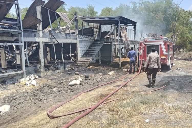 Kandang Ayam di Lamongan Ludes Terbakar, 12.000 Ekor Ayam Mati