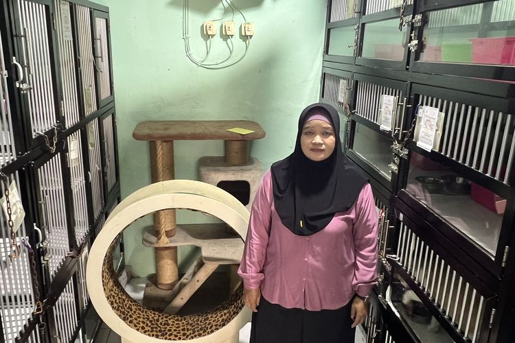 Cerita Hotel Kucing Saat Lebaran: Ada yang 