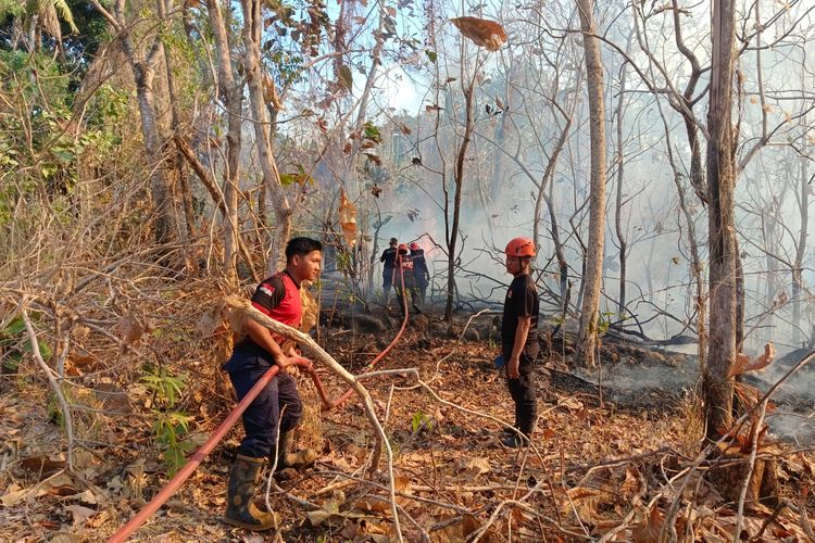 Kebakaran Lahan di Parepare Sulit Dipadamkan Akibat Angin Kencang