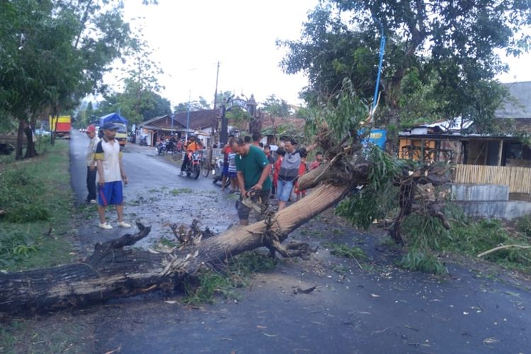 Warga memotong pohon tumbang akibat hujan disertai angin melanda Kabupaten Ponorogo, Jawa Timur, Sabtu (7/12/2019) sore.