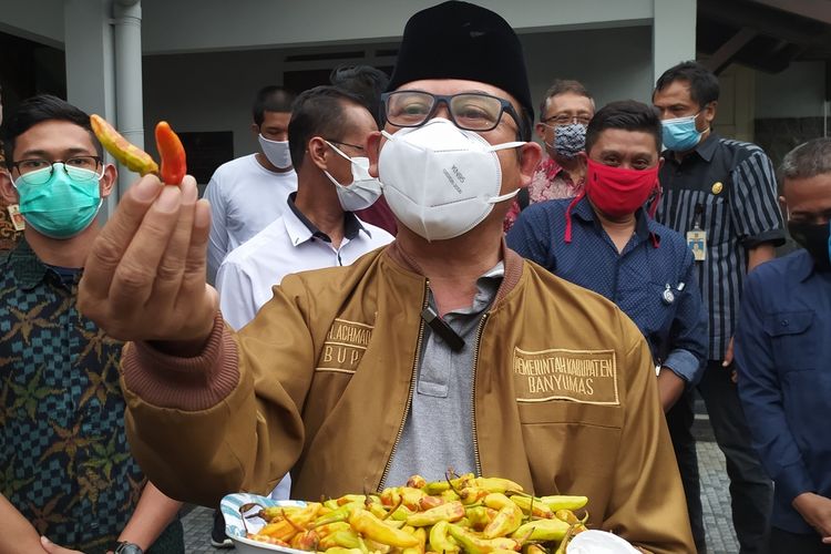 Bupati Banyumas Achmad Husein menunjukkan cabai rawit yang diduga dicat merah di kompleks Pendapa Sipanji Purwokerto, Kabupaten Banyumas, Jawa Tengah, Rabu (30/12/2020).