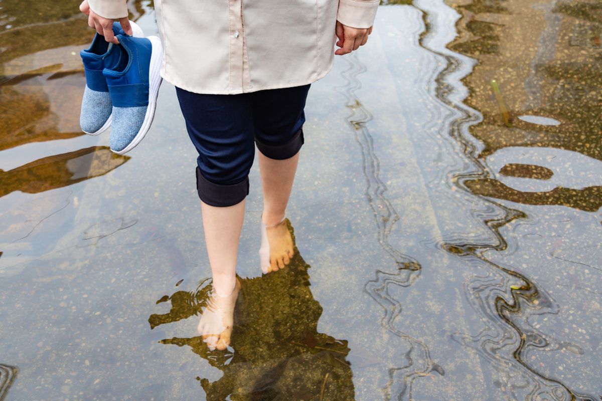 Ilustrasi leptospirosis, bahaya leptospirosis, ciri-ciri leptospirosis, pencegahan leptospirosis