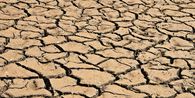 Suhu Lampung Tembus 37 Derajat, BMKG Ingatkan Puncak Kemarau dan El Nino
