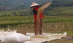Jawa Barat Bagian Utara Rawan Kekeringan