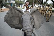 AS Cabut Larangan Impor Kepala Gajah dari Afrika