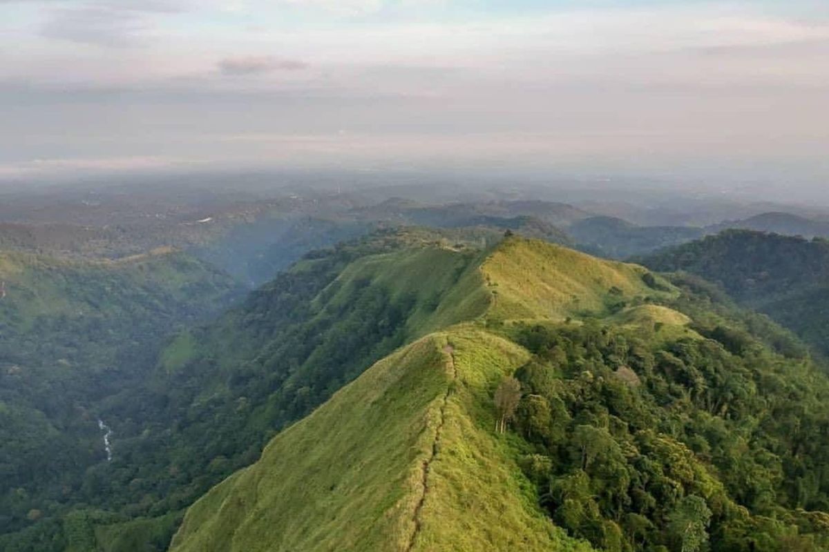 Penampakan kawasan Taman Hutan Raya (Tahura) Raden Soerjo. Bukit Cendono dibawah pengelolaan Tahura Raden Soerjo
