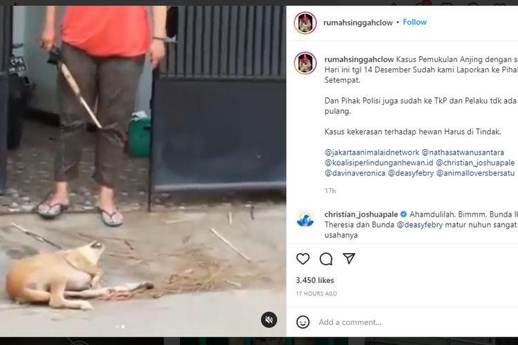 EN, pemilik anjing yang menyiksa hewan peliharaannya sendiri di kediamannya di Jalan Palem, Cipondoh, Kota Tangerang, Senin (13/12/2021).