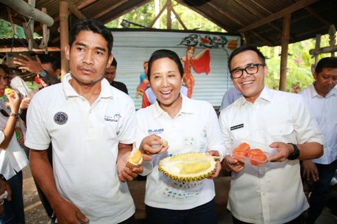 Di Banyuwangi, Menteri Rini Pesta Durian Merah