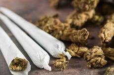 Selain Kecanduan, Pengguna Ganja Lebih Berisiko Alami Stroke