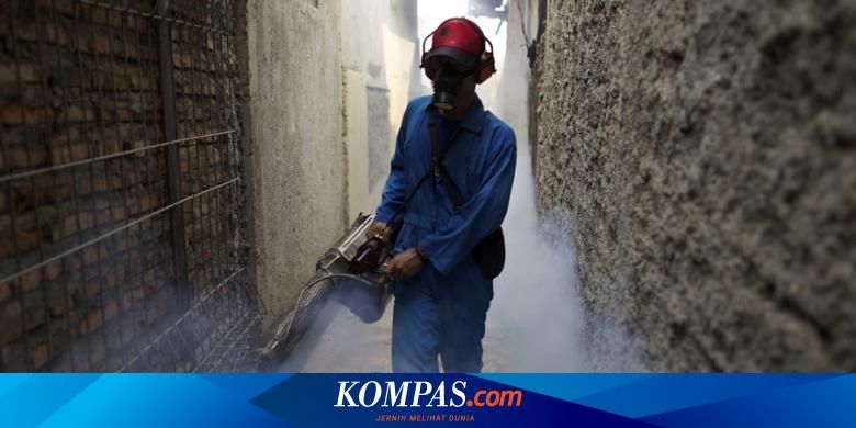 Ini Penyebab Fogging Tak Ampuh Basmi Nyamuk Dbd Halaman All Kompas Com