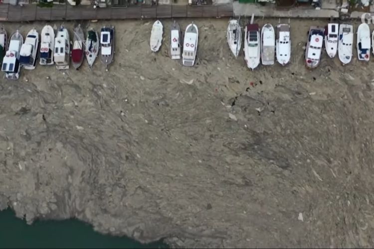 Pantai di Laut Marmara, Turki yang dipenuhi ingus laut. [SS/YOUTUBE/THE GUARDIAN]