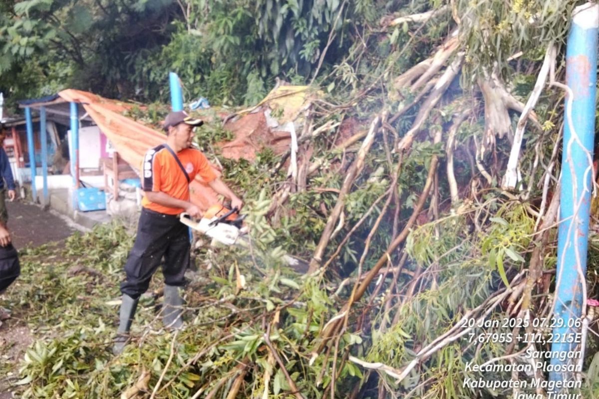 Diguyur hujan deras disertai angin pohon di pinggir telaga Sarangan beberapa hari terakhir roboh nimpa 3 warung milik warga. Tiga warung warga mengalami rusak berat, tidak ada korban jiwa dalam kejadian tersebut.