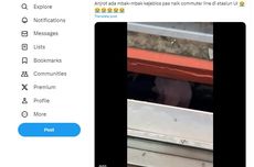 Viral, Video Perempuan Terjebak di Kolong Commuter Line Stasiun UI, Ini Kata KCI