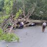 Sempat Ada Pohon Tumbang, Jalur Mudik Garut-Tasikmalaya Kembali Normal