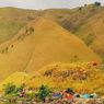 Wisata Tao Silalahi, Bisa Camping di Pinggir Danau Toba