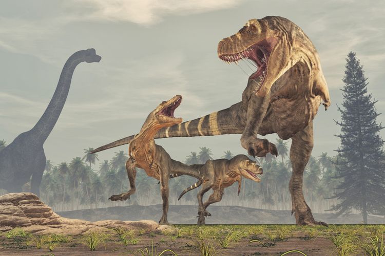 Ilustrasi dinosaurus karnivora, keluarga Tyrannosaurus rex (T-Rex), T.rex.