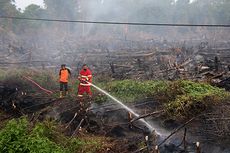 Aparat TNI Amankan Pembakar Lahan di Aceh Barat