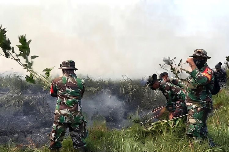 Luas lahan terbakar TN Way Kambas turun dari 673 hektare menjadi 100,74 hektare, petugas masih melakukan pendinginan
