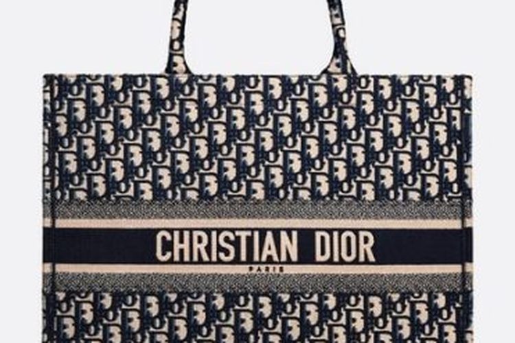 Tas Dior Book Tote.