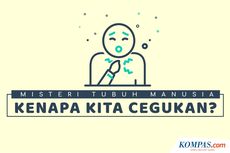 INFOGRAFIK: Misteri Tubuh Manusia, Kenapa Kita Bisa Cegukan?