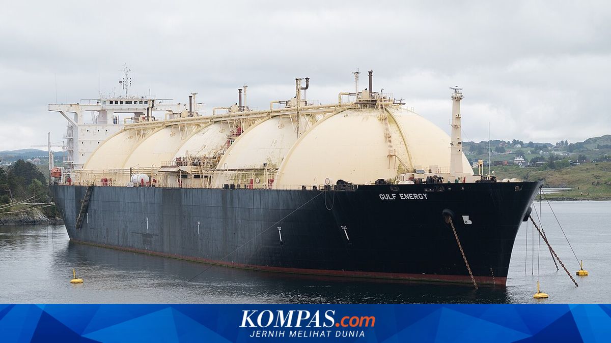 Pengusaha Kapal Minta Peran Swasta Dijaga dalam Kebijakan Ekspor Satu Pintu