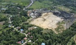 COP30: 70 Organisasi Dunia Desak Kawasan Bebas Energi Fosil di Hutan Tropis