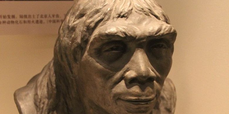 Manusia Purba di Asia