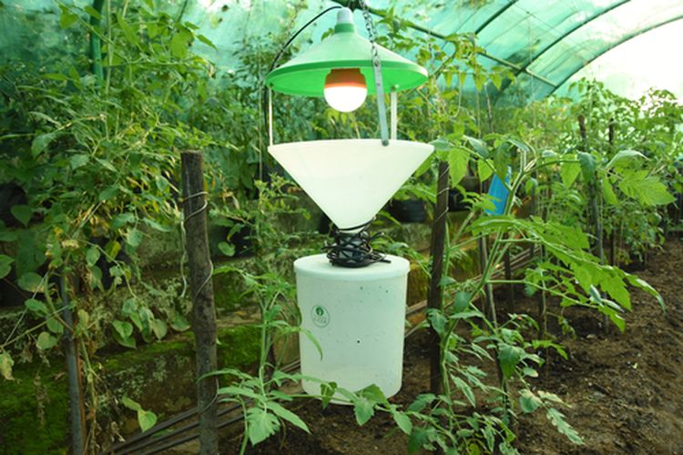 Ilustrasi perangkap lampu untuk mengatasi serangan hama