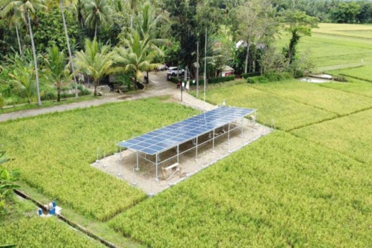 Gubernur Jawa Tengah Ganjar Pranowo membantu para petani di Desa Krandegan Kecamatan Bayan Kabupaten Purworejo. Ganjar membantu para petani dengan mengalokasikan dana sekitar 450 juta untuk membangun sistem pengairan berbasis tenaga surya.