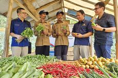 YDBA dan PIP Serahkan Sertifikasi GAP kepada Petani Binaan di Bogor