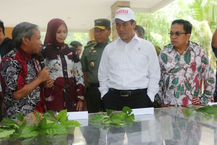 Menteri Pertanian, Andi Amran Sulaiman, mendengarkan paparan Kepala Pusat Penelitian Kopi dan Kakao, Misnawi, tentang kopi varietas super asal Jember, Kamis (24/5/2018)