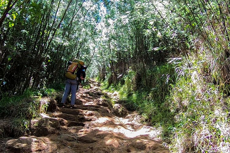 Jalur pendakian menuju pos 2 Gunung Sumbing via Butuh, Kaliangkrik, Magelang.