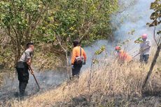 Lahan di Gunung Orak-Arik Trenggalek Terbakar, Penyebab Belum Diketahui