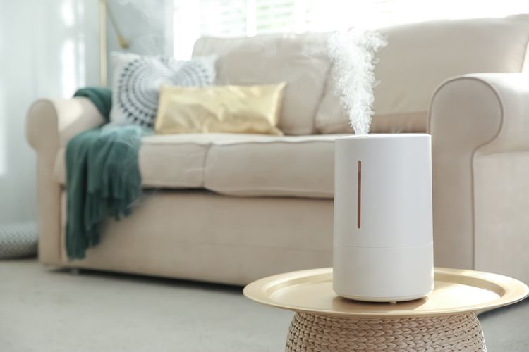 Cara Merawat Air Purifier dan Dehumidifier agar Tetap Optimal dan Awet