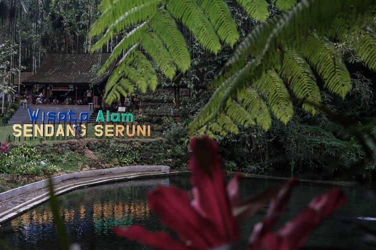 Wisata alam Sendang Seruni di Banyuwangi, Jawa Timur. 