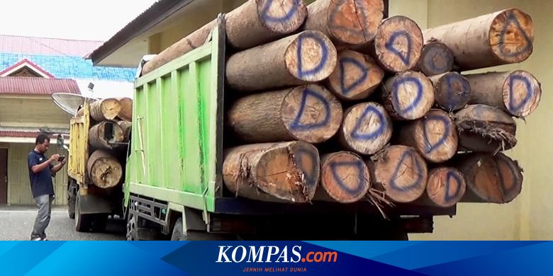 Satu Truk  Pengangkut Kayu  Meranti Ilegal Ditangkap di Riau