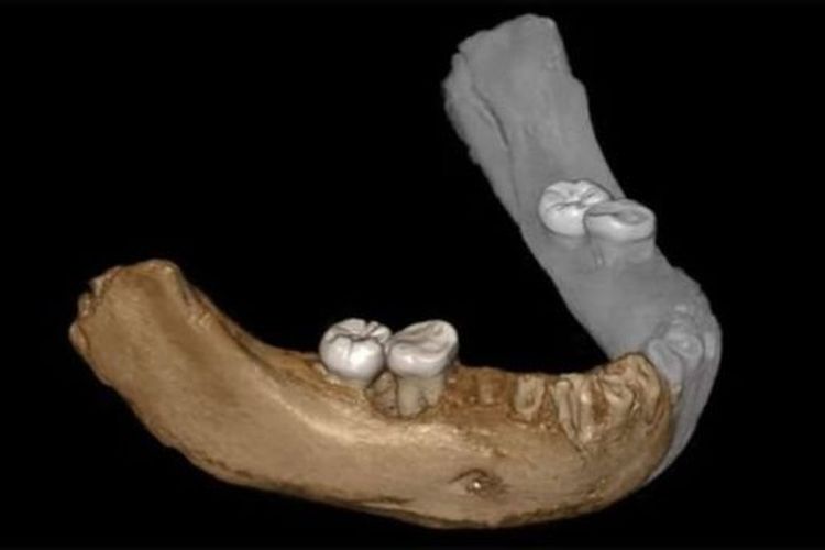 Sejauh ini, satu-satunya sisa fosil manusia Denisovans yang ditemukan adalah tiga gigi, tulang jari kelingking dan rahang bawah.