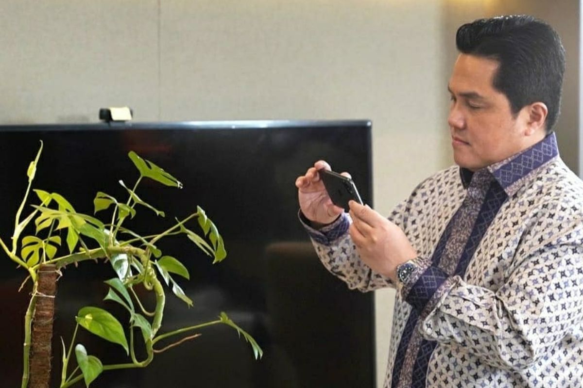 Erick Thohir bersama tanaman hias janda bolong.