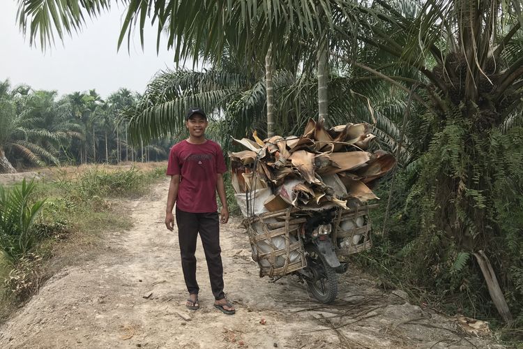 Plepah sudah membuka kantong-kantong suplai bahan baku. Mereka sudah bermitra dengan para petani pemilik kebun pinang di Kabupaten Tanjabung Timur dan Tanjabung Barat di Jambi. 