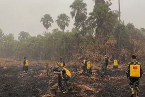 Hujan Semalaman Redam Karhutla TN Way Kambas, Petugas Masih Memburu Bara Api