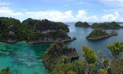 BRIN: Papua Jadi Pusat Keanekaragaman Hayati Indonesia, Simpan Ribuan Spesies Endemik
