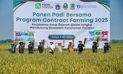 Contract Farming, Cara Pemprov DKI Perkuat Ketahanan Pangan Jakarta