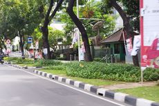 APK Peserta Pemilu Dipasang di Pohon Jalan Kebon Sirih Jakpus, padahal Dilarang Aturan